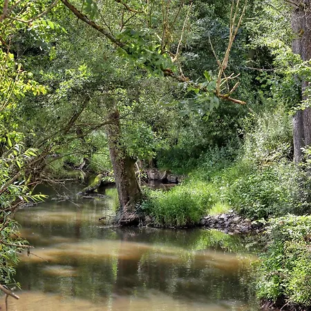 Amazing In With Wifi *