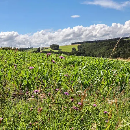 Apartment Amazing In With Wifi Irrhausen