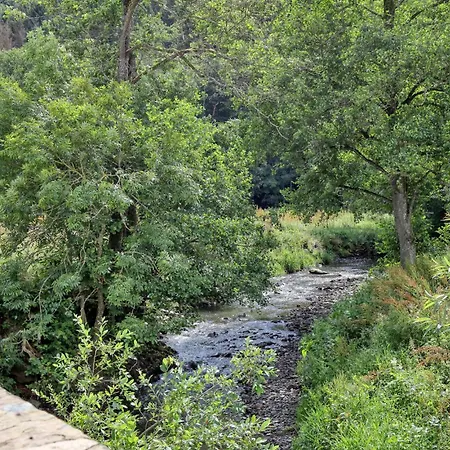 Apartment Amazing In With Wifi *