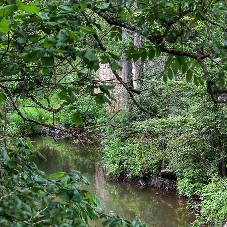 Amazing In With Wifi * Irrhausen