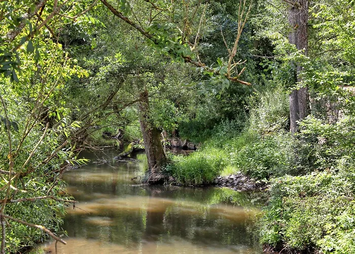 Amazing In With Wifi *