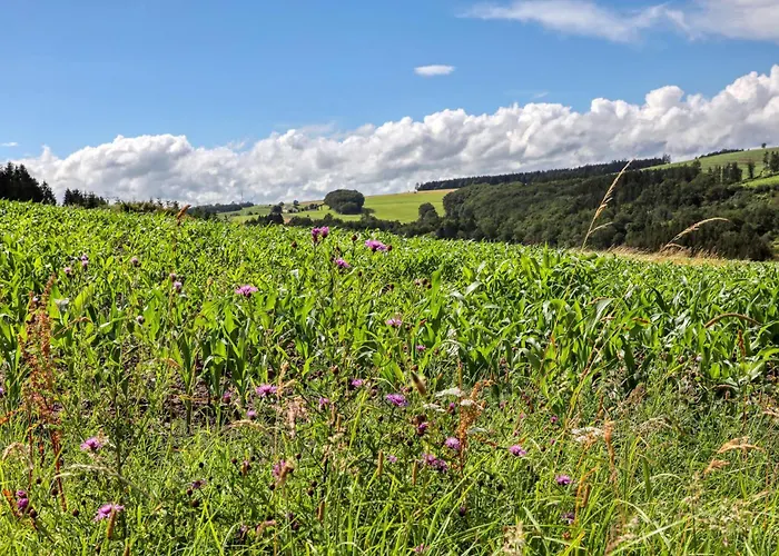 アパート Amazing In With Wifi Irrhausen