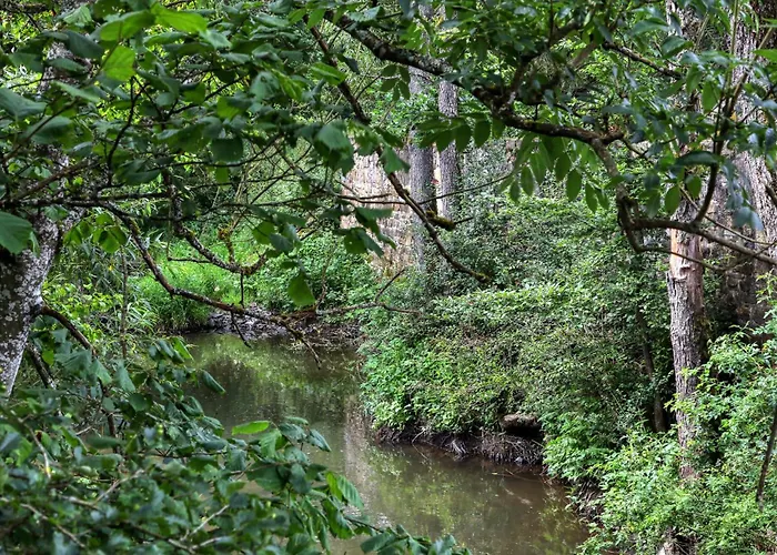 Amazing In With Wifi * Irrhausen