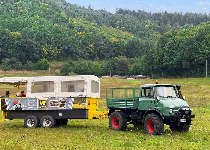 Amazing In With Wifi Apartment